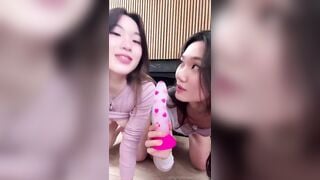ngay mới vv 31