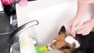 Gay cấn Đến phút cuối cùng