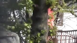 Quay lén, Nữ Đồng nghiệp Đái bậy ở Công viên loli mình dây