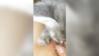 Bé mèo hạnh phúc nhất lúc này