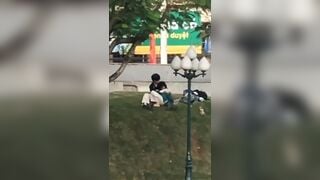 Cặp đôi học sinh cấp 3 sục cu móc cua nhau bên hồ