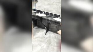 Video màu vàng_ Một cảnh quay lớn giữ hai con chó cái chân dài trong nhà vệ sinh công