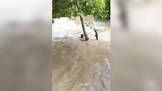 Bão ở quãng tây Trung Quốc 1 cô gái khiêu gợi nước cuốn trôi k sợ lũ sợ đội cứu hỗ.