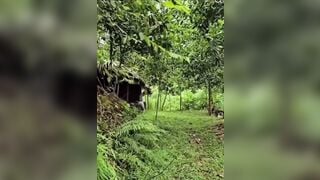 Cặp đôi đang đụ nhau bị phát hiện la lên thì cả 2 chạy tán loạn.