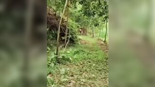 Cặp đôi đang đụ nhau bị phát hiện la lên thì cả 2 chạy tán loạn.