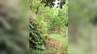 Cặp đôi đang đụ nhau bị phát hiện la lên thì cả 2 chạy tán loạn.