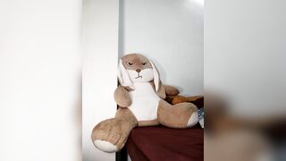 -Bongg-  31/07/2026