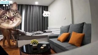 Xuất tinh dầy bướm đến mức chảy ra ngoài ghế em học sinh dáng nuột