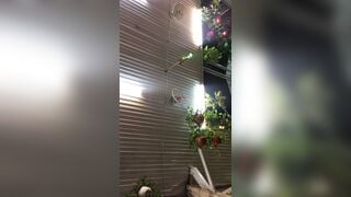 quay lén dưới váy gái Việt Nam (2)