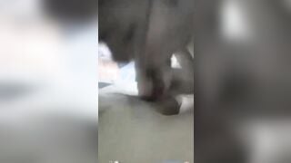 Xin mãi con bạn thân kính cận mới bú cu cho