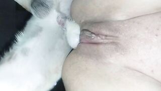 Video63