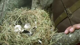 Hiếp dâm vợ bạn