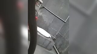 Suu tam quay lén đi đái