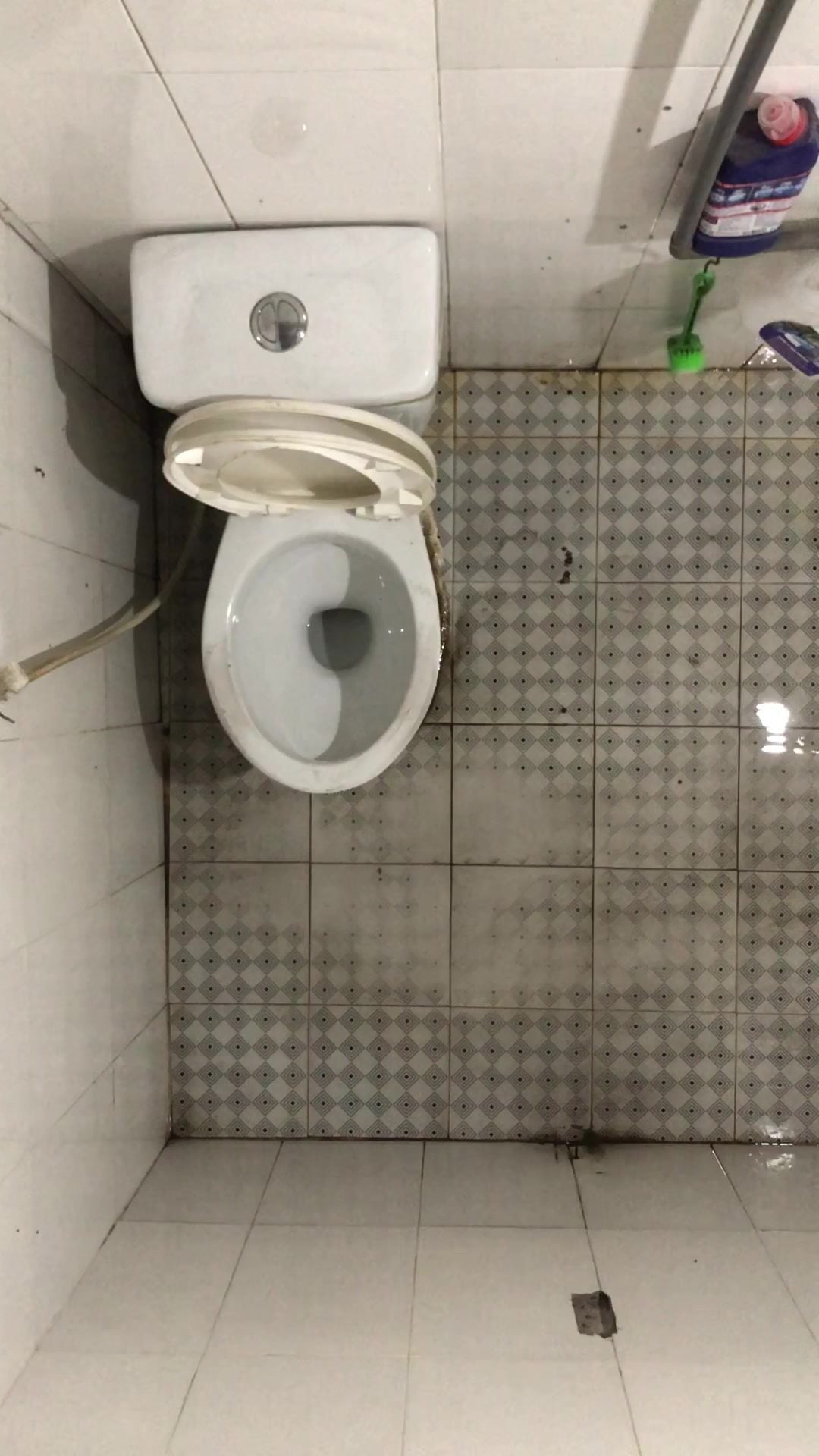 Ôi bờ mông đó