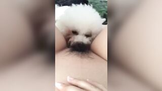 cho chó bú lồn