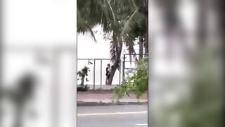 Đang buồn đi dạo bờ biển gặp phải đôi nam nữ này lại buồn hơn
