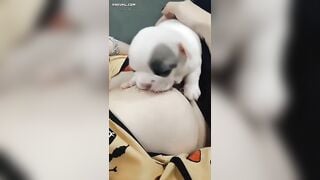 Tao chưa dậy thì thành công mày đã chơi tao rồi “Ấu Dâm” à