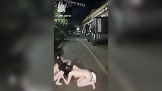 Dẫn 2 con chó cái ra đường đi dạo