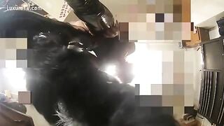 Zoophilia lợn nhỏ