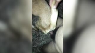 Địt ng đã sướng huống chi địt chó mà chó còn sướng vãi đái ra