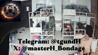 Cam boy nhà trồng