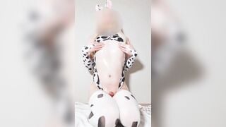 dairy cow