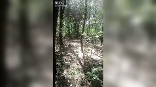 Tây du ký - Sư phụ ra tay